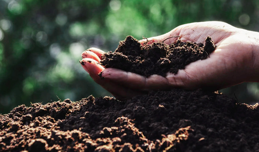 Seccion-grid-procesos-compost Seccion-grid-procesos-compost